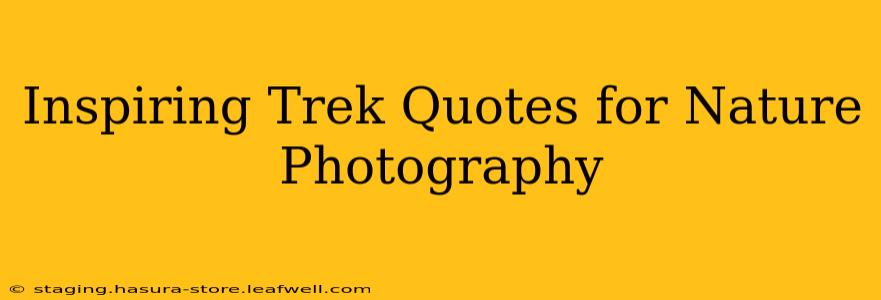 Inspiring Trek Quotes for Nature Photography