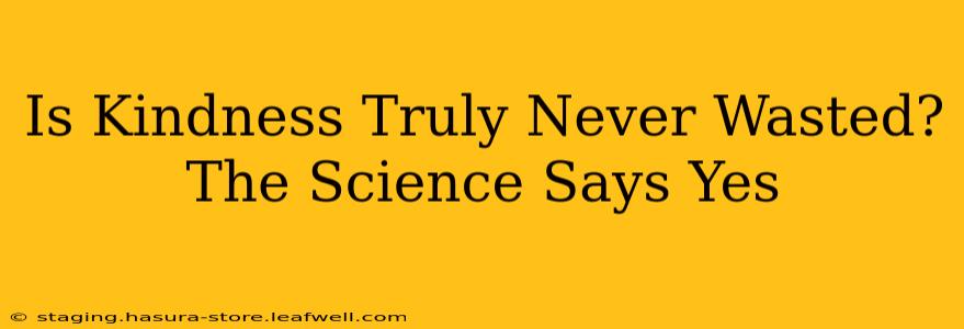 Is Kindness Truly Never Wasted?  The Science Says Yes