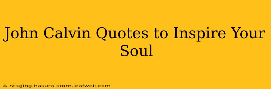 John Calvin Quotes to Inspire Your Soul