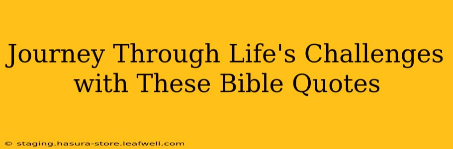 Journey Through Life's Challenges with These Bible Quotes