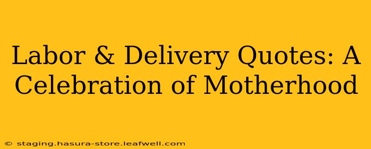 Labor & Delivery Quotes: A Celebration of Motherhood