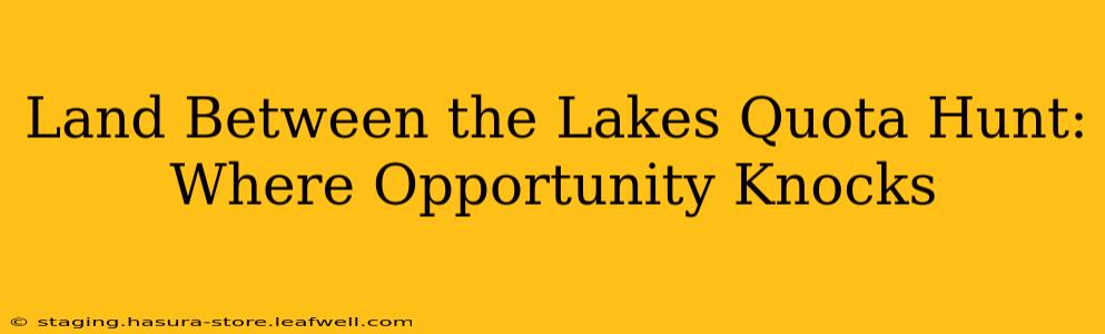 Land Between the Lakes Quota Hunt: Where Opportunity Knocks