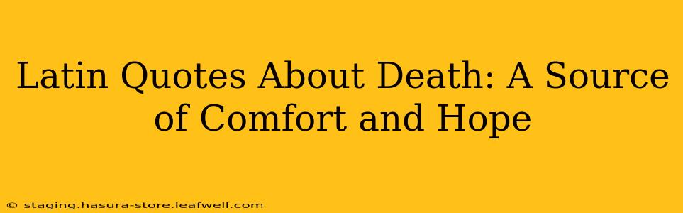 Latin Quotes About Death: A Source of Comfort and Hope