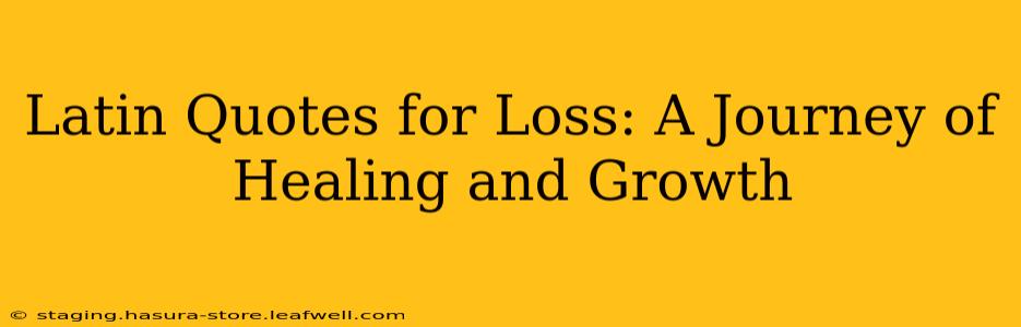 Latin Quotes for Loss: A Journey of Healing and Growth