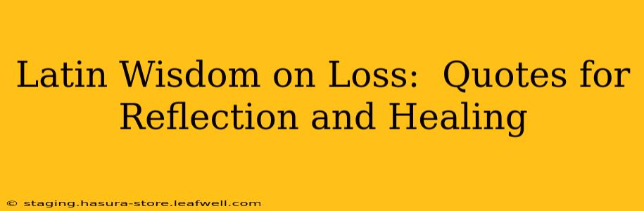 Latin Wisdom on Loss:  Quotes for Reflection and Healing