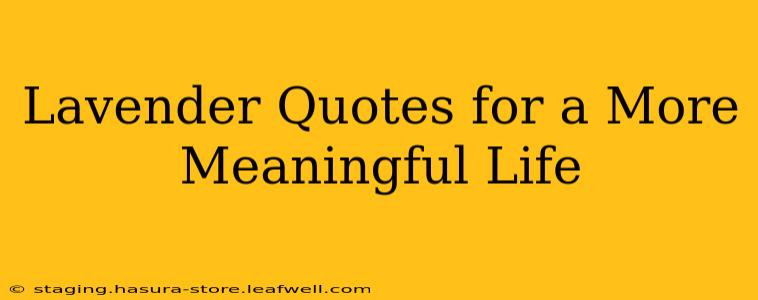 Lavender Quotes for a More Meaningful Life