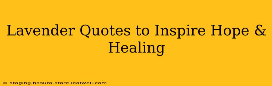 Lavender Quotes to Inspire Hope & Healing