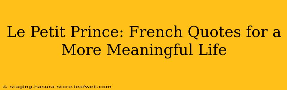 Le Petit Prince: French Quotes for a More Meaningful Life