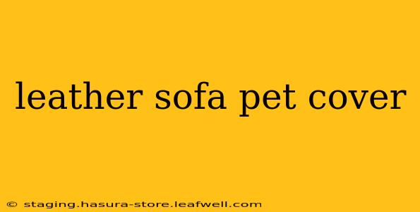 leather sofa pet cover