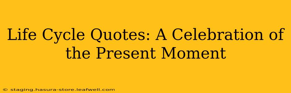 Life Cycle Quotes: A Celebration of the Present Moment