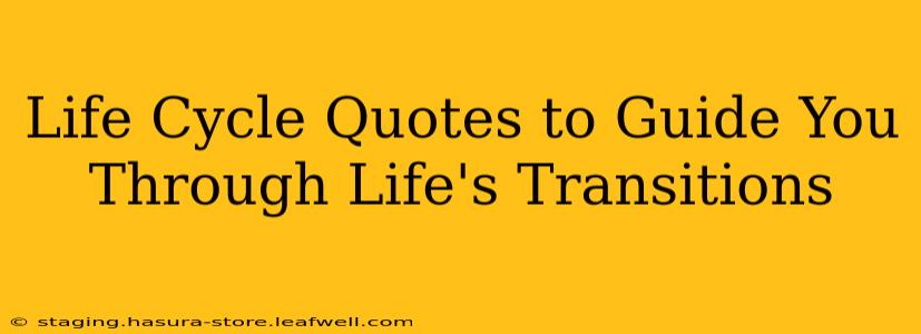 Life Cycle Quotes to Guide You Through Life's Transitions