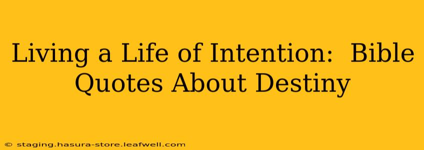 Living a Life of Intention:  Bible Quotes About Destiny