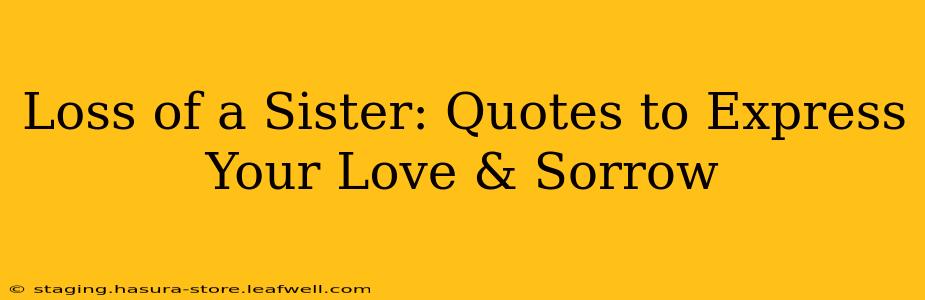 Loss of a Sister: Quotes to Express Your Love & Sorrow