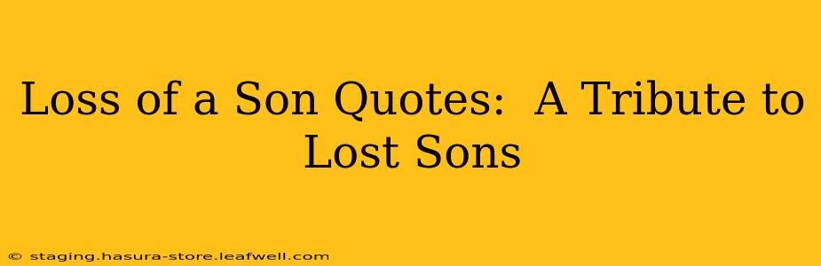 Loss of a Son Quotes:  A Tribute to Lost Sons