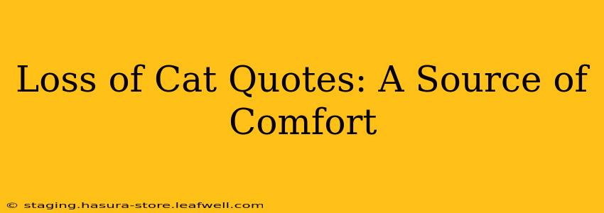 Loss of Cat Quotes: A Source of Comfort