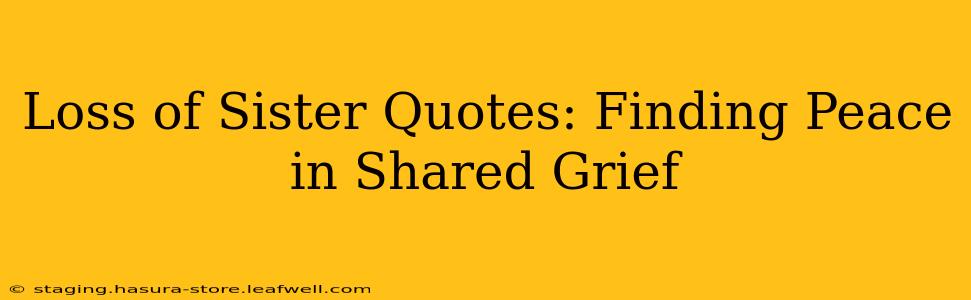 Loss of Sister Quotes: Finding Peace in Shared Grief