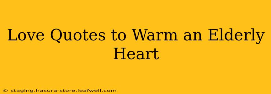 Love Quotes to Warm an Elderly Heart