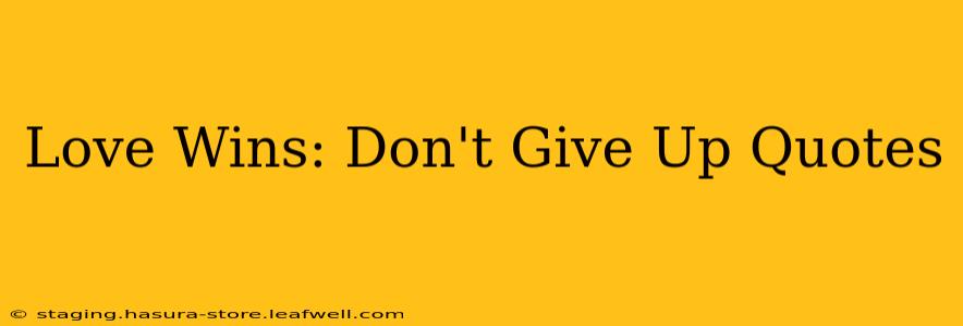 Love Wins: Don't Give Up Quotes