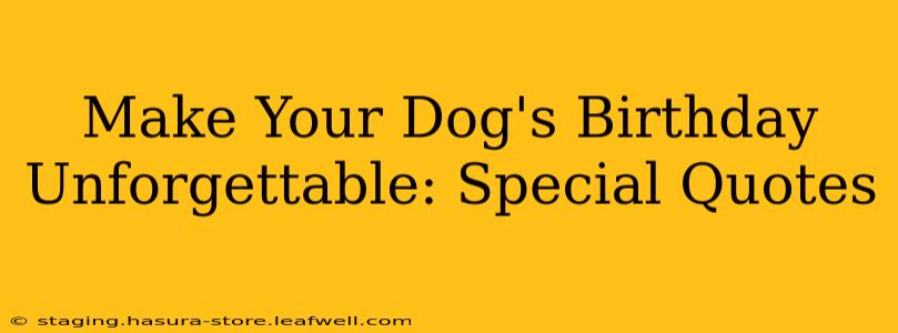 Make Your Dog's Birthday Unforgettable: Special Quotes