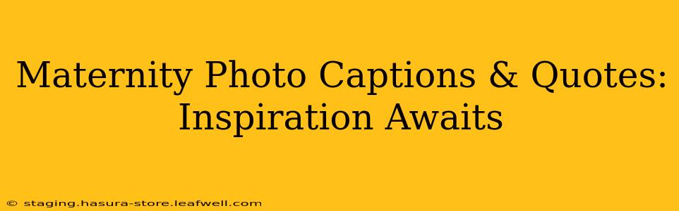 Maternity Photo Captions & Quotes: Inspiration Awaits