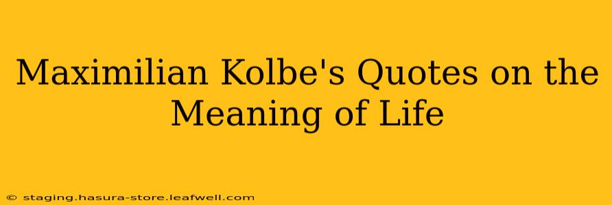 Maximilian Kolbe's Quotes on the Meaning of Life