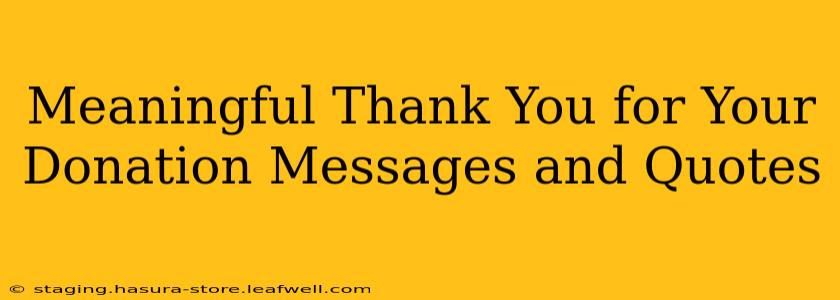 Meaningful Thank You for Your Donation Messages and Quotes