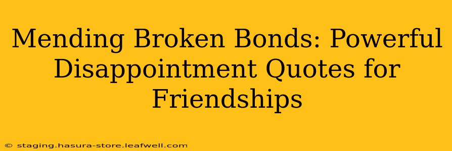 Mending Broken Bonds: Powerful Disappointment Quotes for Friendships