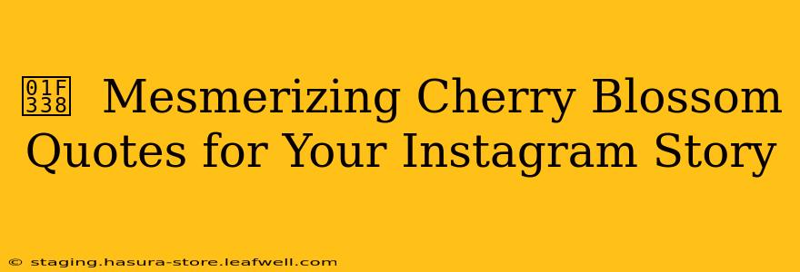 🌸  Mesmerizing Cherry Blossom Quotes for Your Instagram Story