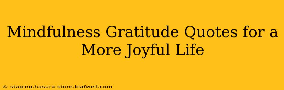 Mindfulness Gratitude Quotes for a More Joyful Life