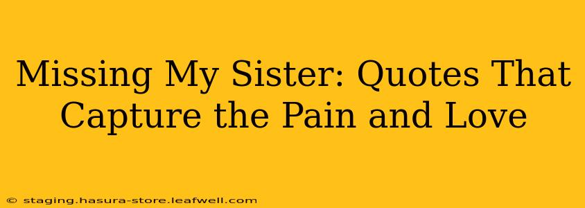 Missing My Sister: Quotes That Capture the Pain and Love