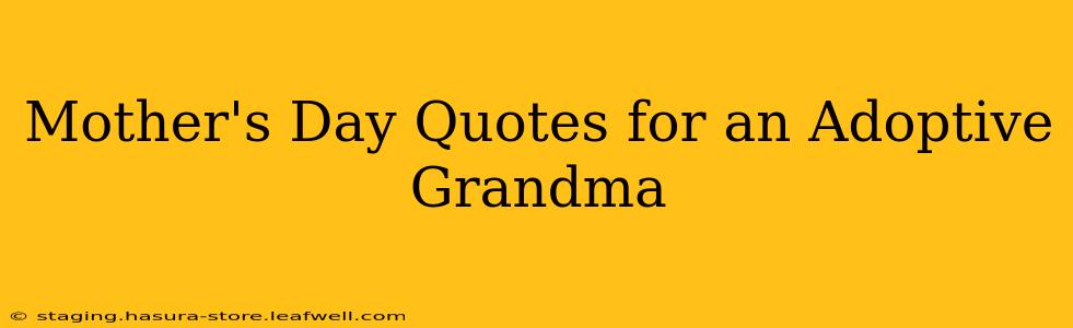 Mother's Day Quotes for an Adoptive Grandma