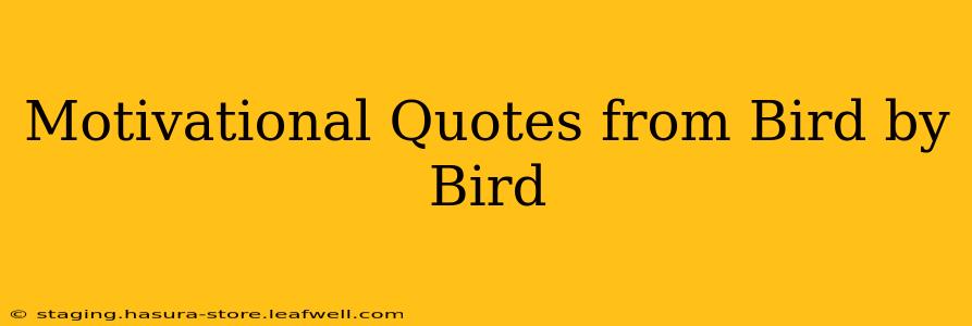 Motivational Quotes from Bird by Bird