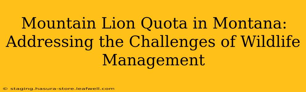 Mountain Lion Quota in Montana: Addressing the Challenges of Wildlife Management