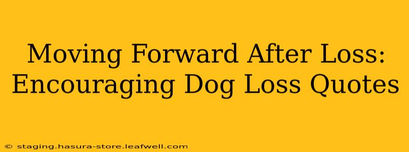 Moving Forward After Loss:  Encouraging Dog Loss Quotes
