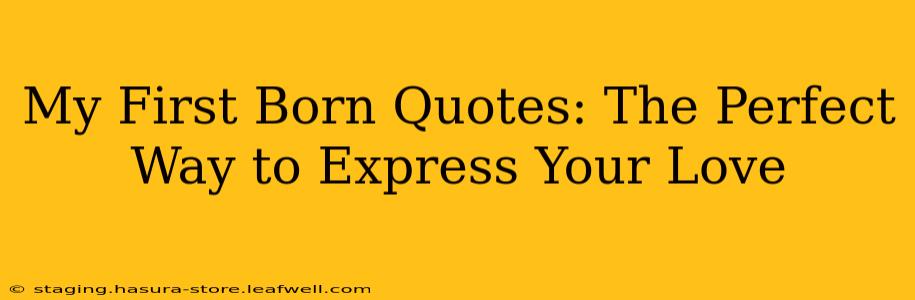 My First Born Quotes: The Perfect Way to Express Your Love
