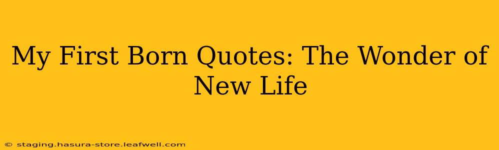 My First Born Quotes: The Wonder of New Life