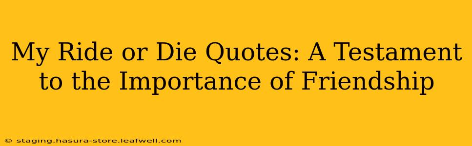 My Ride or Die Quotes: A Testament to the Importance of Friendship