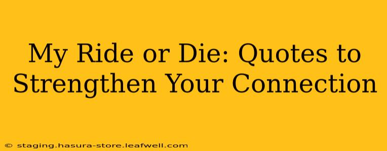 My Ride or Die: Quotes to Strengthen Your Connection