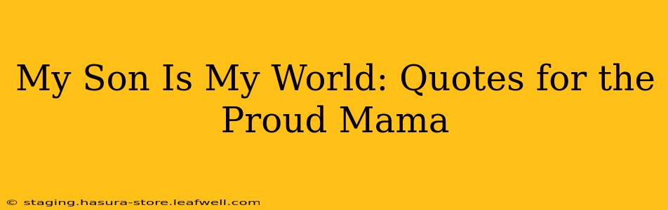 My Son Is My World: Quotes for the Proud Mama