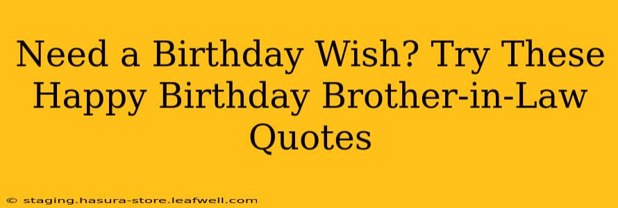 Need a Birthday Wish? Try These Happy Birthday Brother-in-Law Quotes
