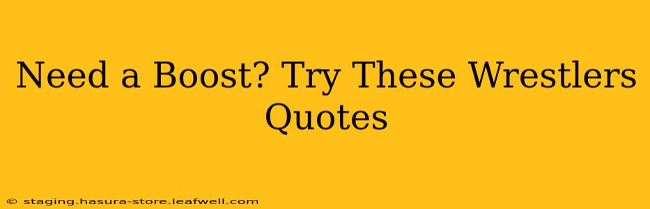 Need a Boost? Try These Wrestlers Quotes
