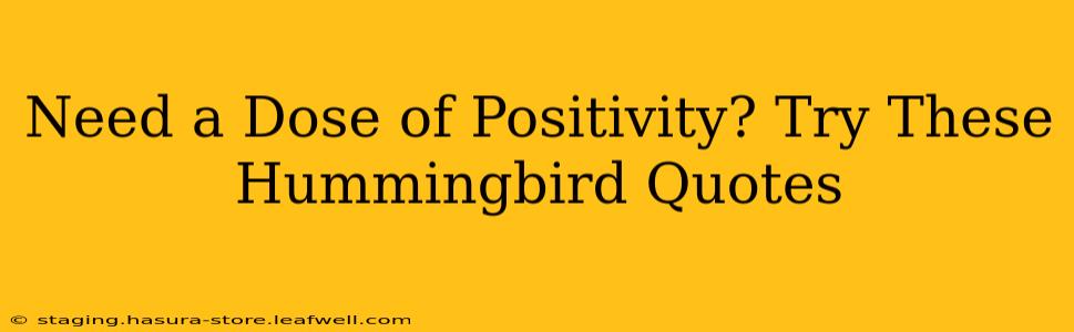 Need a Dose of Positivity? Try These Hummingbird Quotes