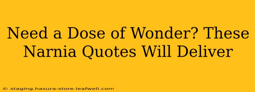 Need a Dose of Wonder? These Narnia Quotes Will Deliver