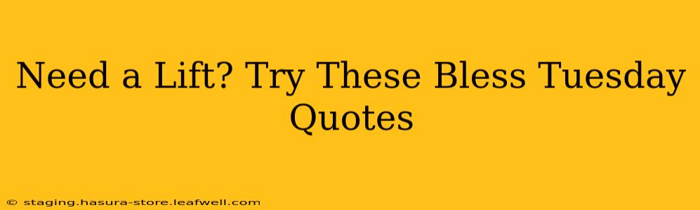 Need a Lift? Try These Bless Tuesday Quotes