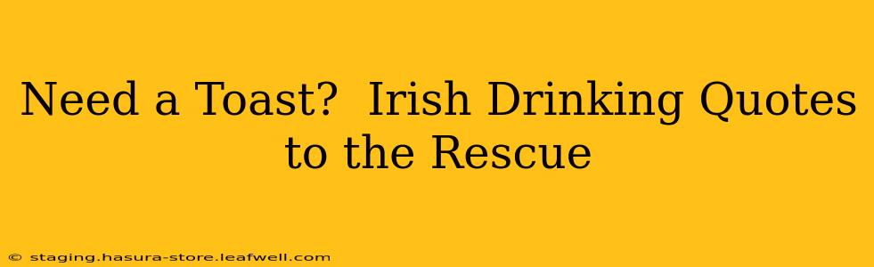 Need a Toast?  Irish Drinking Quotes to the Rescue