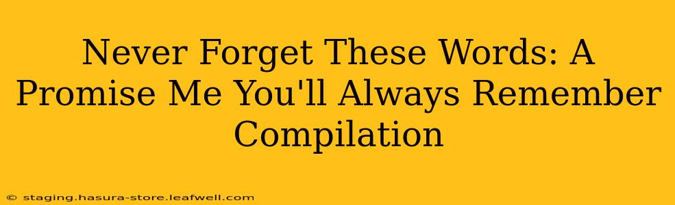 Never Forget These Words: A Promise Me You'll Always Remember Compilation