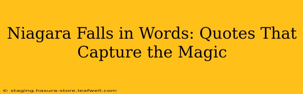 Niagara Falls in Words: Quotes That Capture the Magic