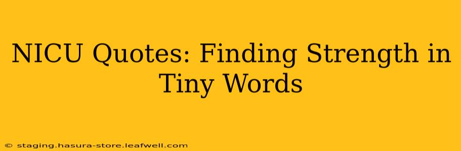 NICU Quotes: Finding Strength in Tiny Words