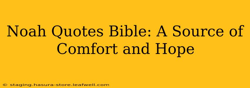 Noah Quotes Bible: A Source of Comfort and Hope