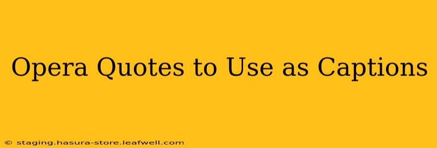 Opera Quotes to Use as Captions